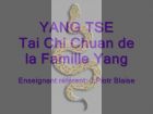 Stage tai chi chuan, Snake style