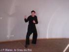 Cours hebdomadaires Snake style Tai chi chuan - école Yang Tse Lyon