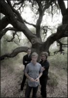 Nada surf