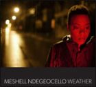 Meshell  Ndegeocello