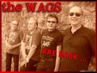 concert The Wags