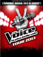 The Voice Tour 2013