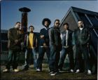 The Roots