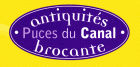 Puces du canal