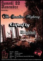 Concert Punk/Rock :  Blighted, Cupofty, The Sunshine Highway